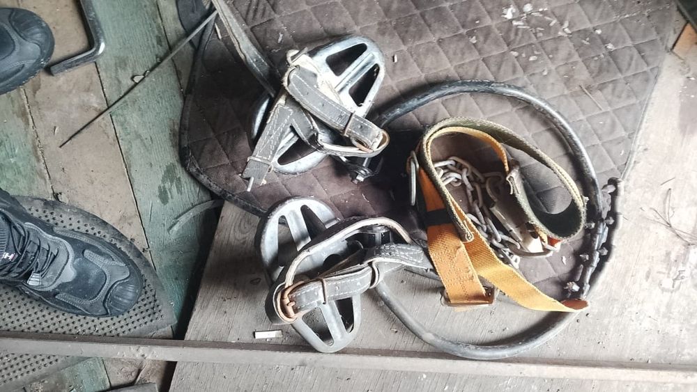 Срочно продам кокти по дерево