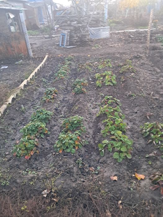 Дача на меловых горках