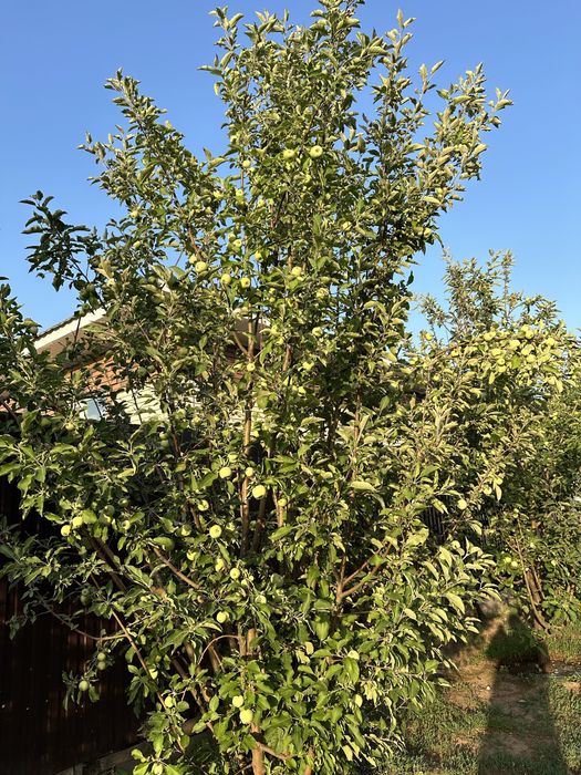 Продам  трехуровневый коттедж