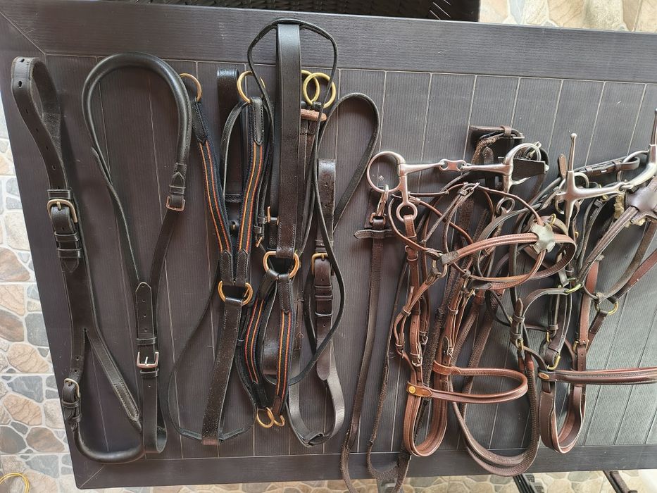 Șa dresaj, frâu, capastru, cizme, toca.