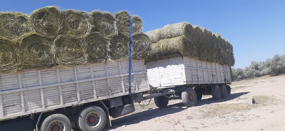 Сено люцерна жоношка урлон жоношка