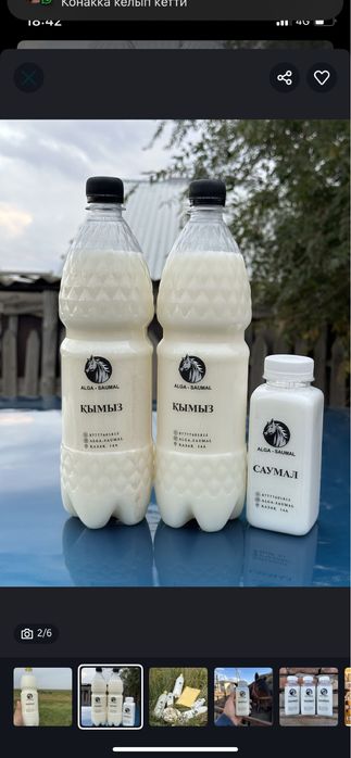 Кымыз Саумал Бие сүті