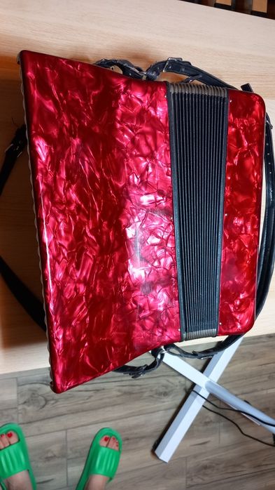 Acordeon DELICIA carmen 24 cu 96 basi