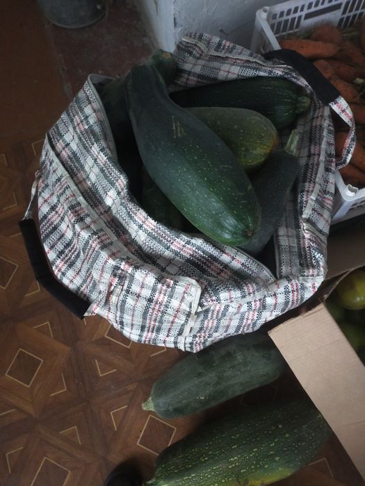 Продам тыкву   домашнюю и кабачки