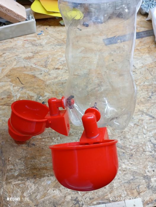 Товук жужалар сув идиши