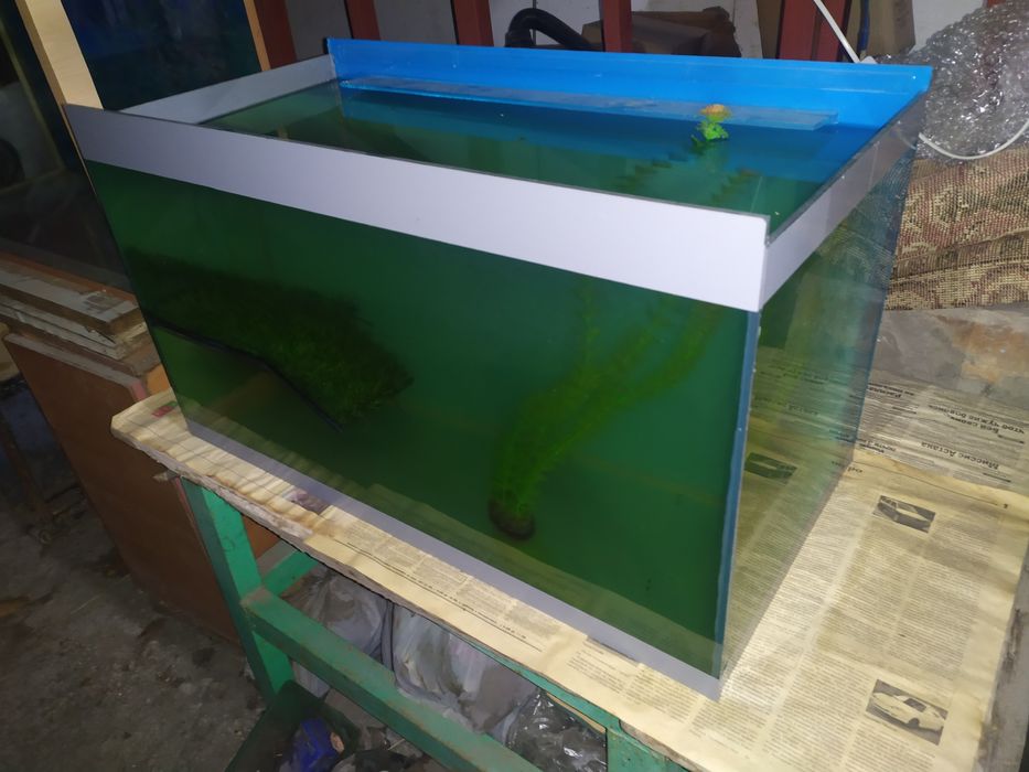 Аквариум с сушей для черепах.