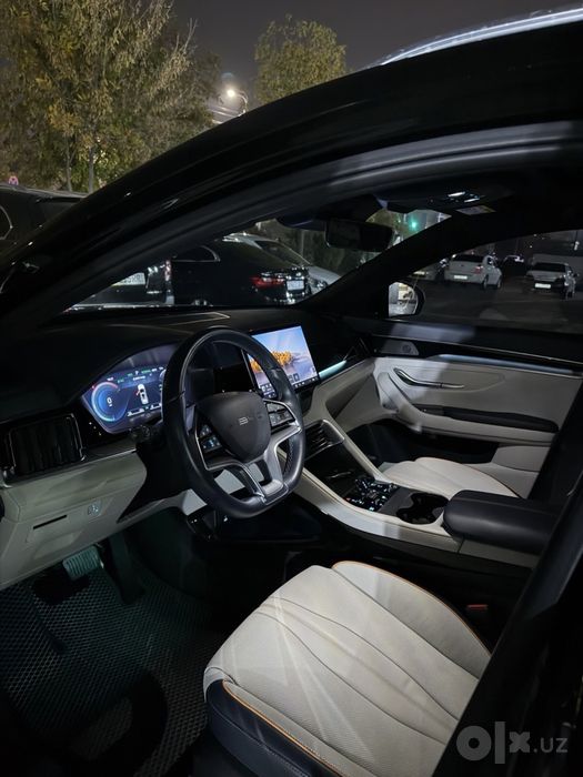 Byd champion Dm-i 2024
