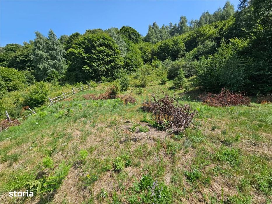 Alzza Real Estate – Teren intravilan de vanzare in Salicea, Cluj – 117