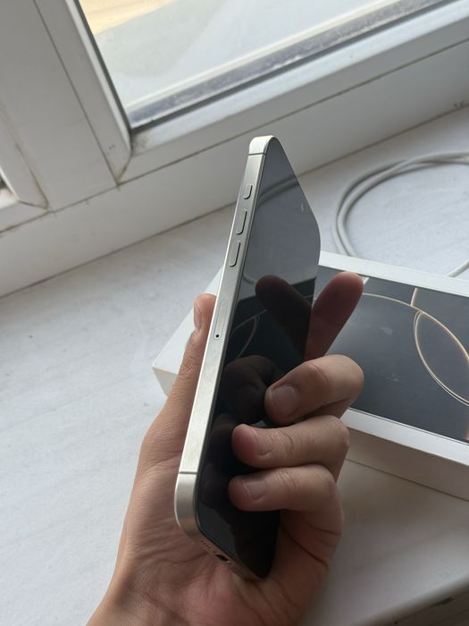 iPhone 16 Pro Max 256 GB