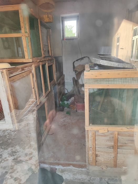 Universal. KATAKLAR. Xar-xil oʻlcham. ++