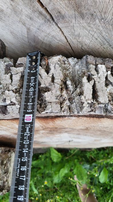 Bucăți felii din lemn de nuc