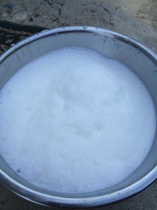 Ешкы сут   свежий