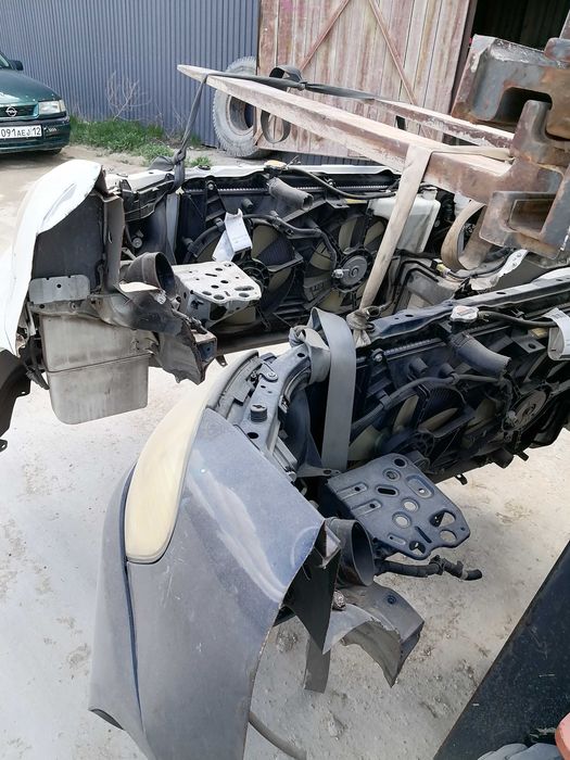 Передний морда ipsum