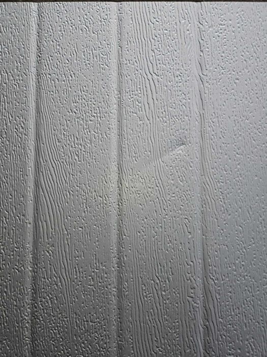 Usa de garaj sectionala Argintiu