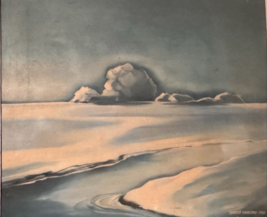 Tablou cu peisaj polar Mircea Vaideanu