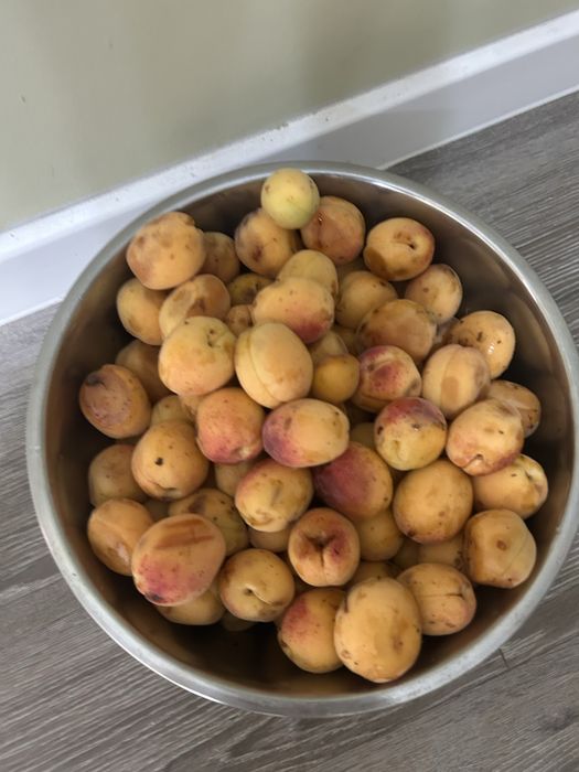 Продаем дачный дом