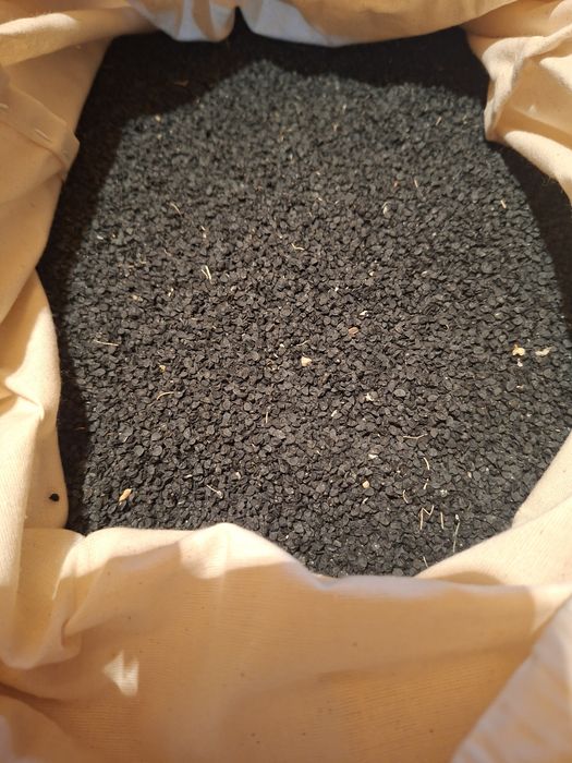 Sămânță de ceapă roșie de Buzău