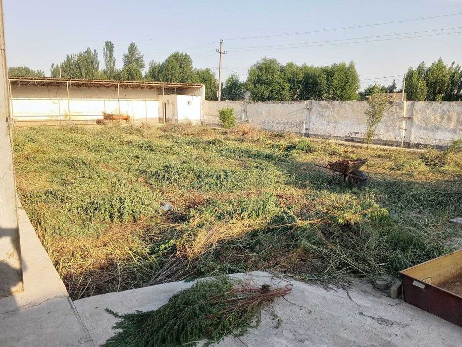 Ferma  sotiladi, 13.3 sotx  40 ta buqa yoki ot boqishga mo'ljallangan
