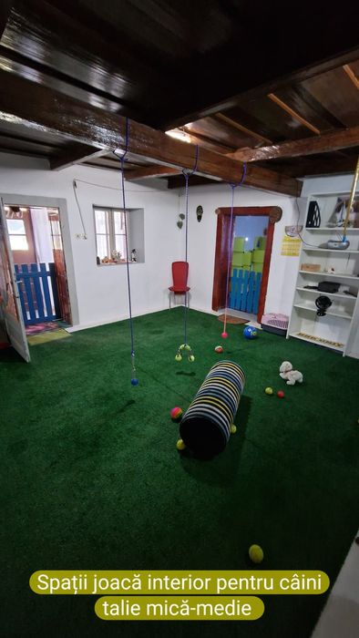 Casa de vânzare-Cefa-Bihor