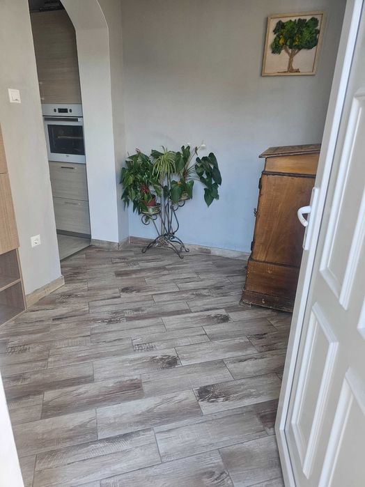 Inchiriez apartament la curte casa particulara pet friendly