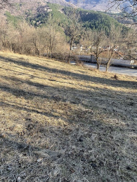 Продава се Парцел в с. Згориград, Област Враца - 3000 кв.м за 14 €/кв.м - Снимка #9