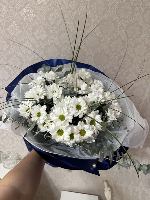 Пролам цветы подарили вчера ночью