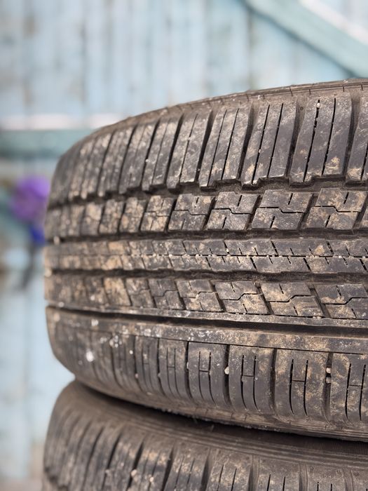 Летние шины 225/55/19