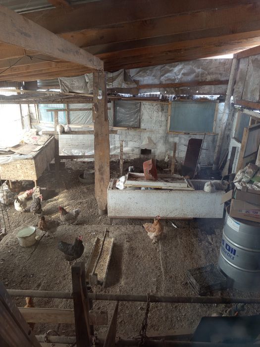 Продам дом в иссыке