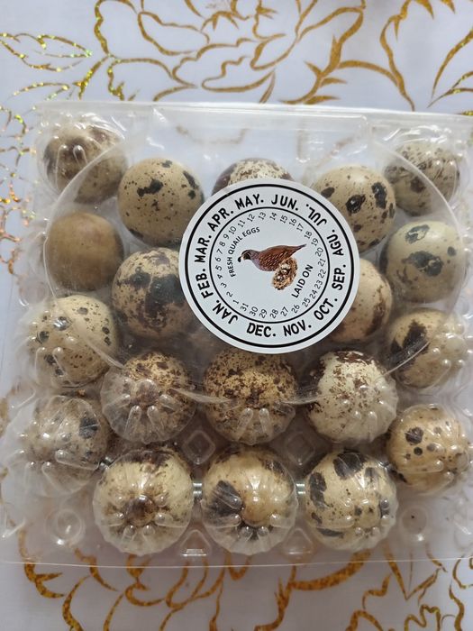 Бөдене жұмыртқасы сатылады,свежий