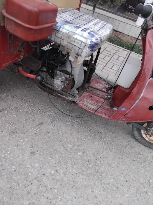 Муравей сатылады багасы келысемыз