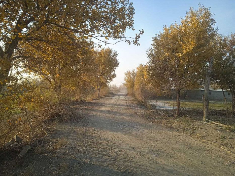 3.35 Gektar yer maydoni sotiladi (biznesingiz uchun qulay lokatsiya)