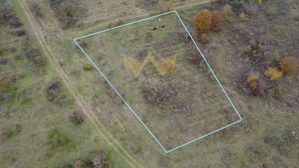 Продава се Парцел в с. Константиново, Област Варна - 2000 кв.м за 8 €/кв.м - Снимка #6