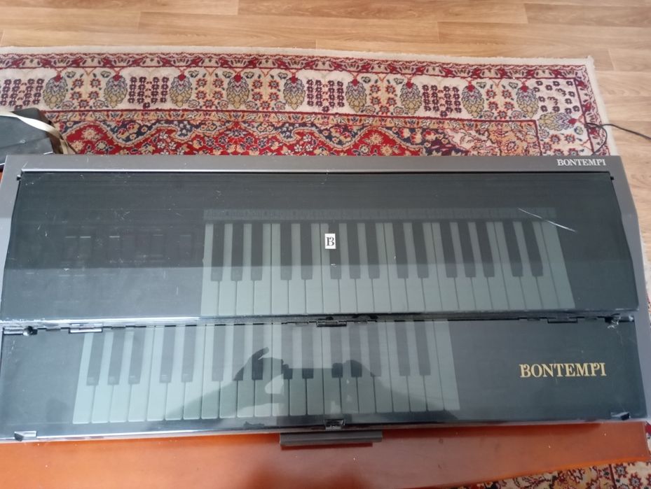 Електронен двуредов орган