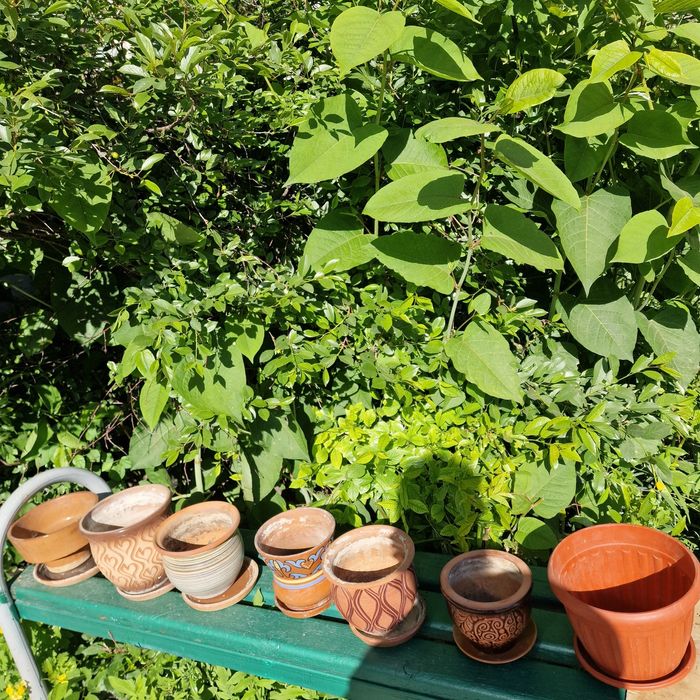 Продам глиняные горшки