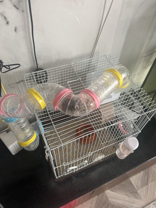 Продаю хомяка с домиком