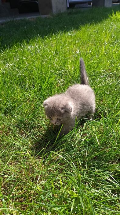 Бронируем,Веслоущки..