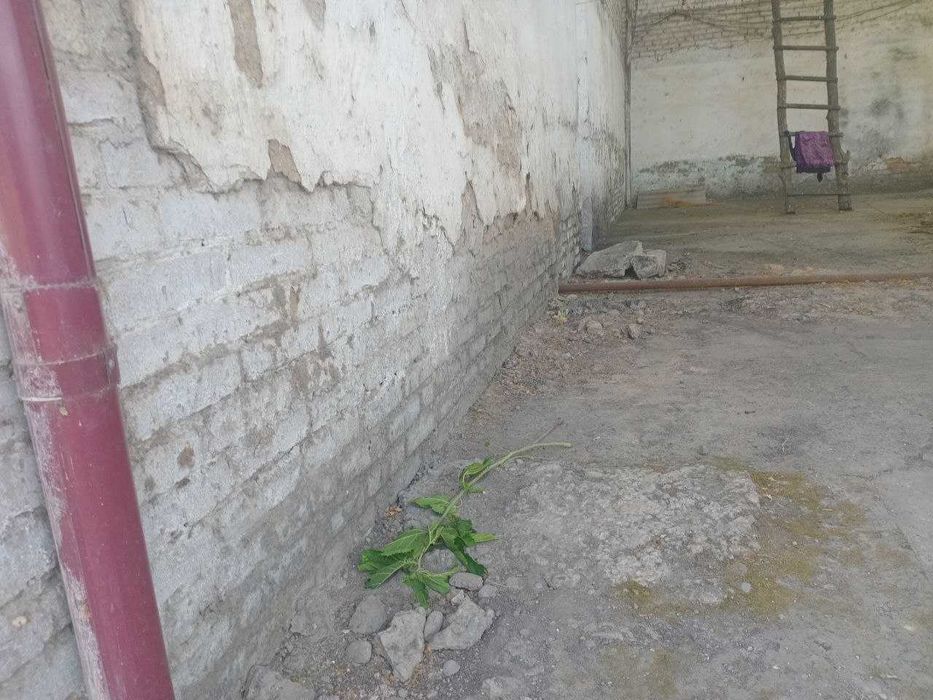 ГАСН хулосасига асосан бузилиши кайд этилган