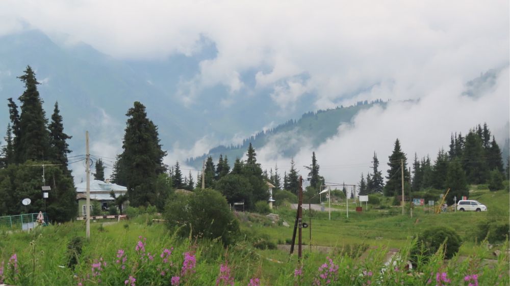 Фотокамера Canon PowerShot SX740 HS черный