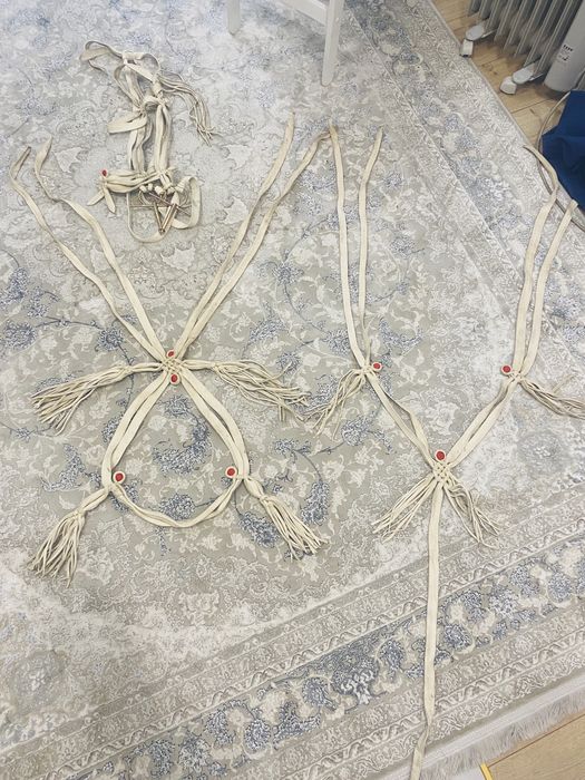 Жүген өмілдірік құйысқан