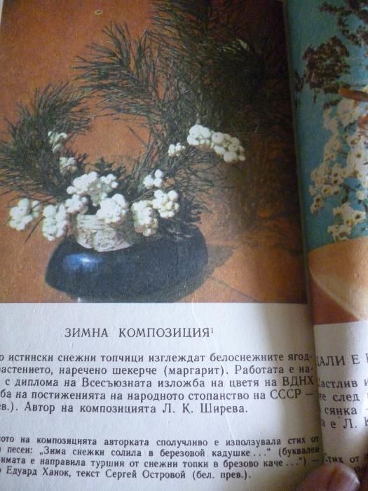 Дъга от цветя - Евгения Черней, Леонила Ширева