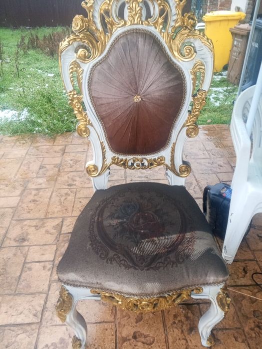 Gata cu petele de pe Canapea