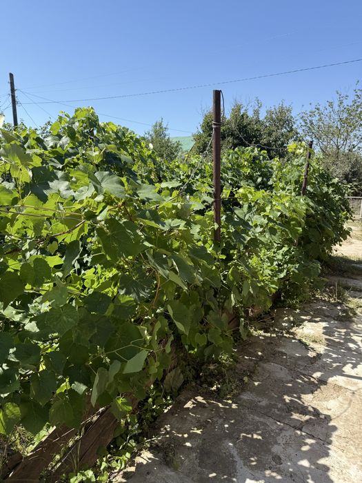 Продам дачу 8 соток