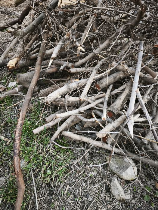 Бесплатно. Отдам дрова. Самовывоз.