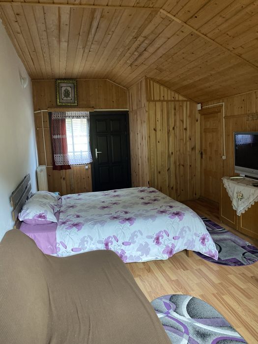 Cazare Slanic Moldova -Casa verde