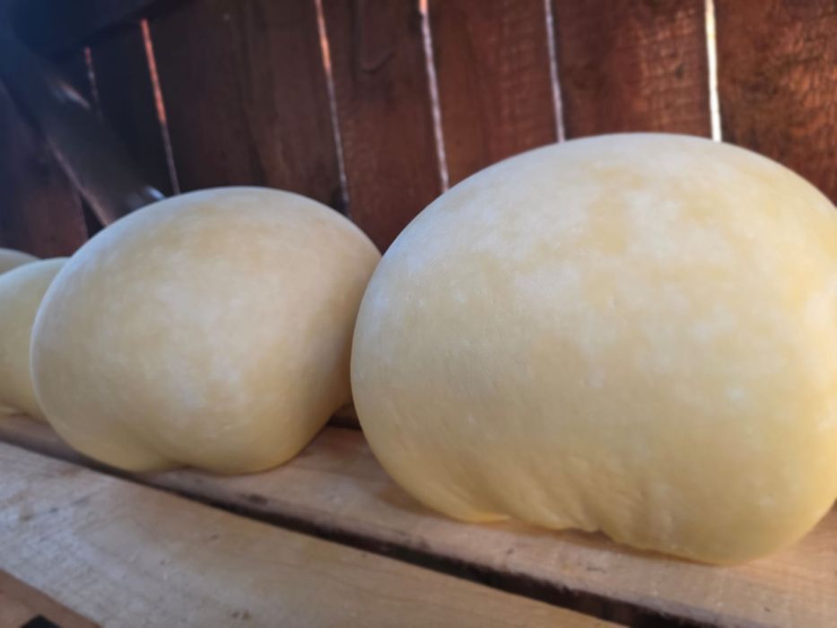 Cas de vaca proaspat