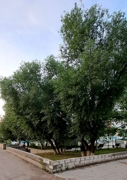 продам 3 к.кв. иманова 34