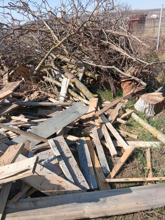 Vînd Lemn foc de vnzare brad⁸
