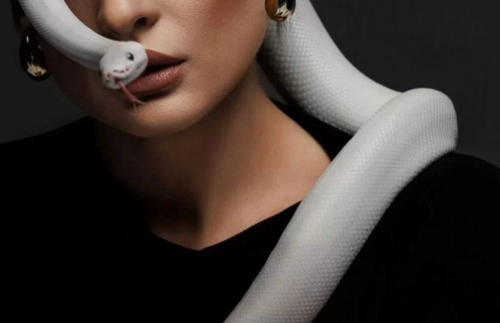 Аренда змеи для фото, видео и мероприятий!