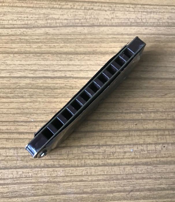 Гармошка  губная