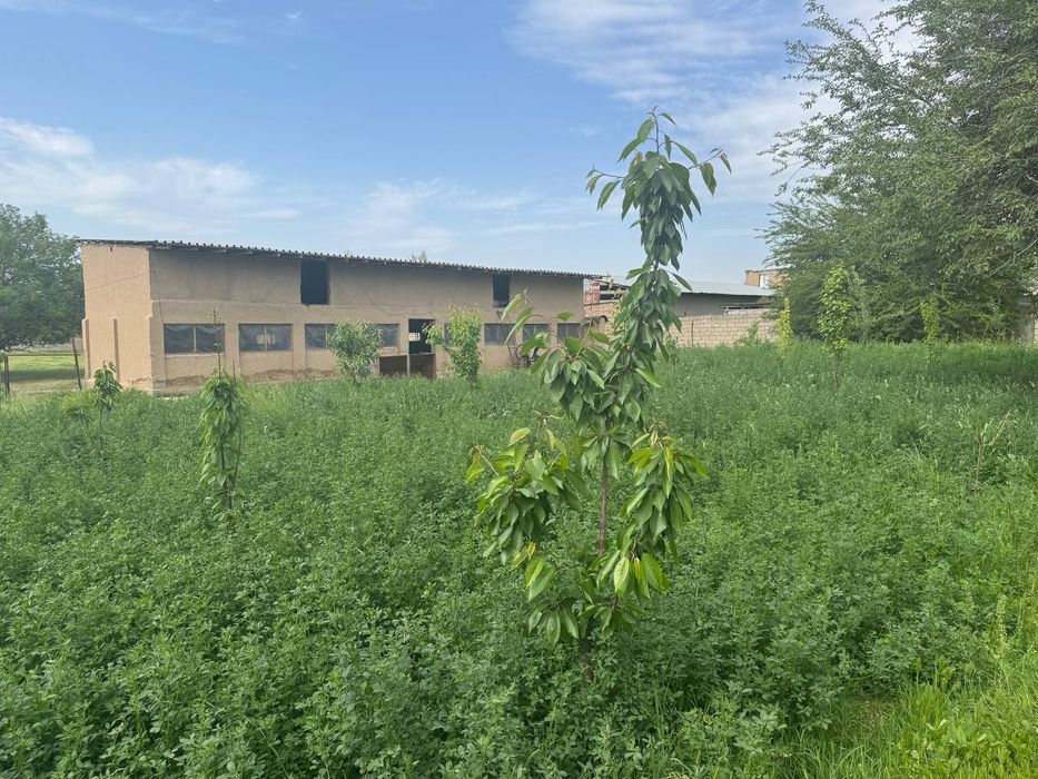 Nazarbek tarnov Uy sotiladi